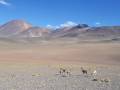 IMG-20171121-WA0016
