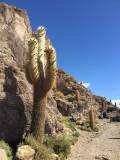 IMG-20171125-WA0003
